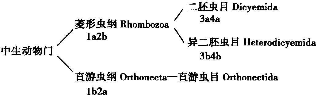 4.1 概述